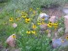 isbergpass028_small.jpg