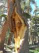 isbergpass032_small.jpg