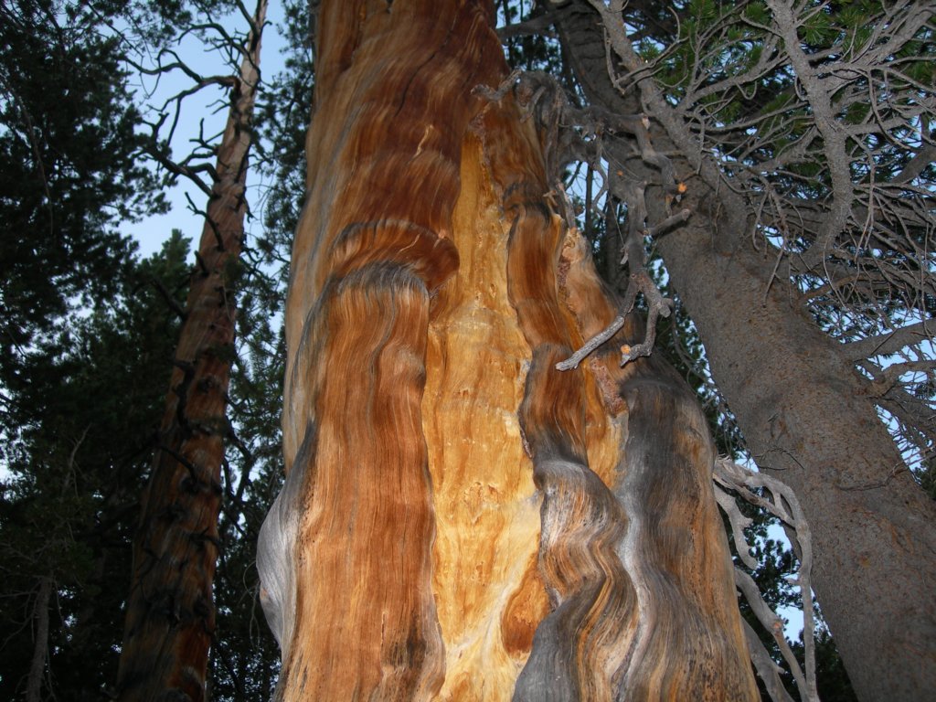 isbergpass051.jpg