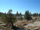 isbergpass098_small.jpg