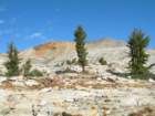 isbergpass103_small.jpg