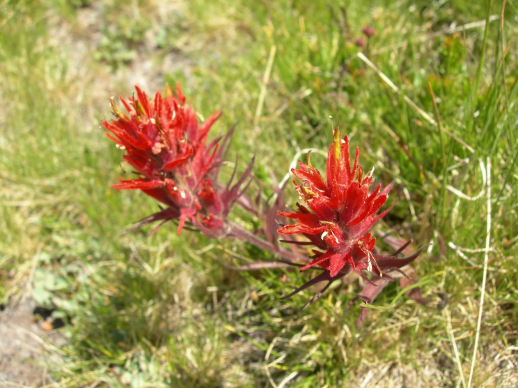 isbergpass140.jpg