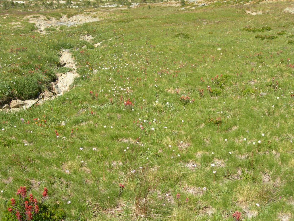 isbergpass141.jpg