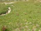 isbergpass141_small.jpg