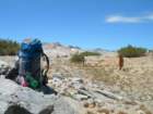 isbergpass169_small.jpg