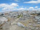 isbergpass176_small.jpg