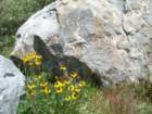 isbergpass201_small.jpg