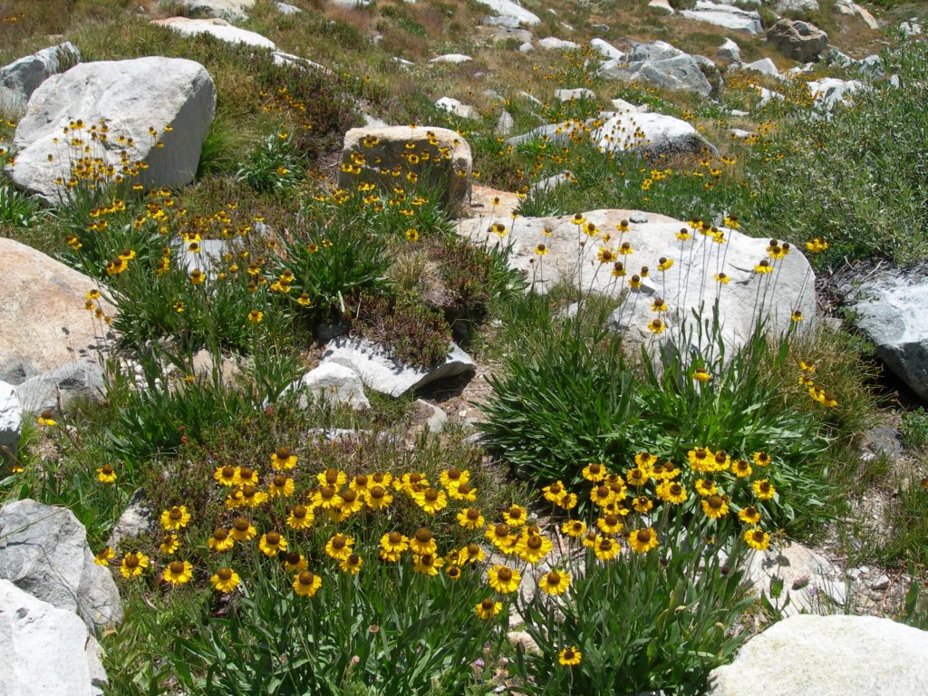 isbergpass203.jpg