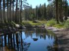 isbergpass218_small.jpg