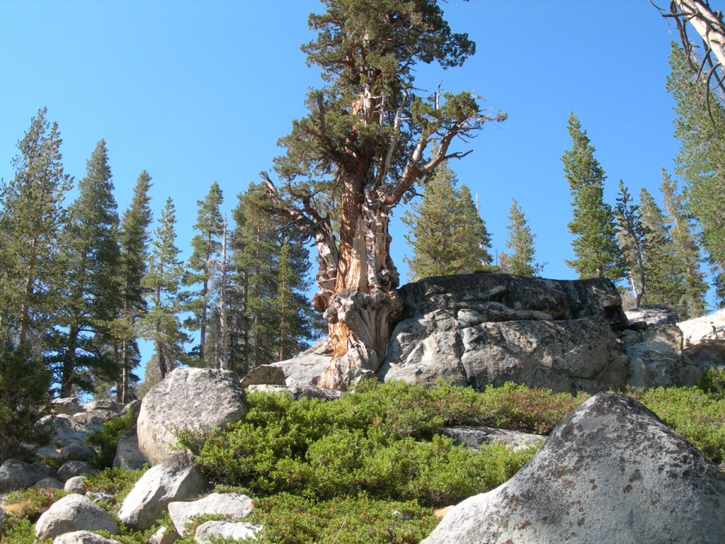 isbergpass221.jpg