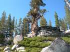 isbergpass221_small.jpg