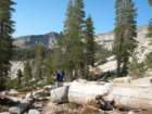 isbergpass290_small.jpg