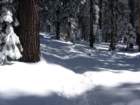 pearlake012_small.jpg