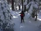 pearlake016_small.jpg