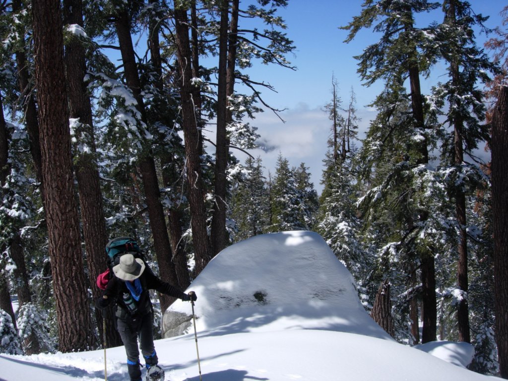 pearlake023.jpg