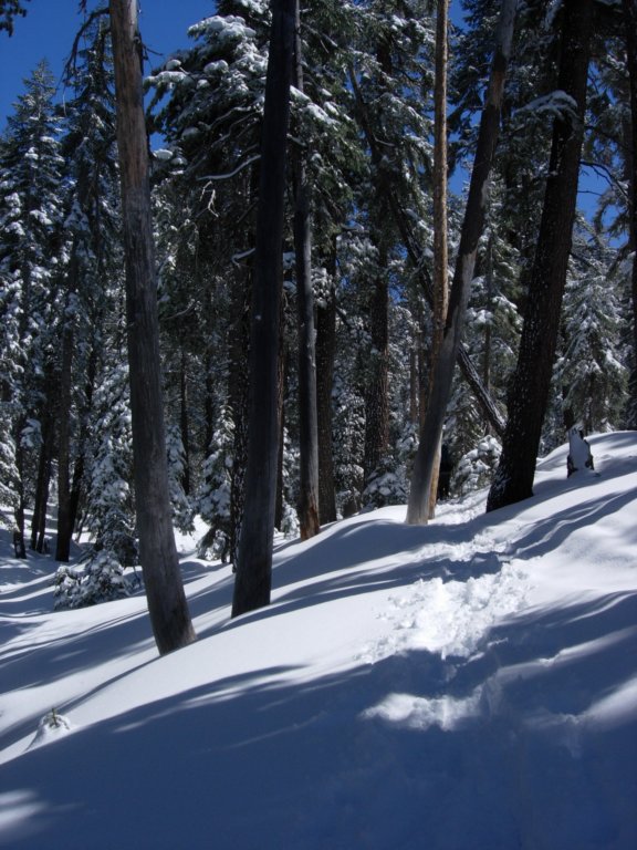 pearlake024.jpg
