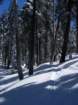 pearlake024_small.jpg