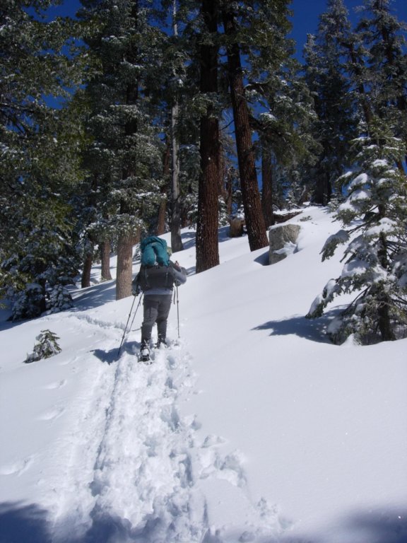pearlake026.jpg