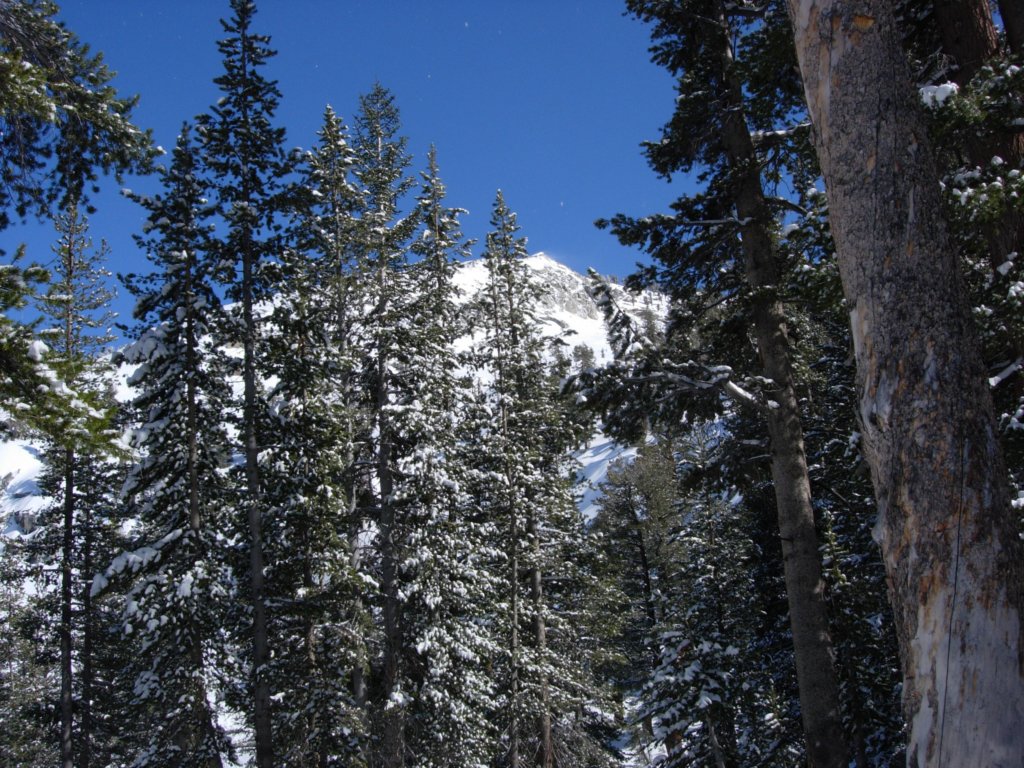pearlake030.jpg