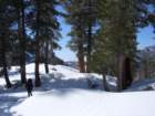 pearlake033_small.jpg