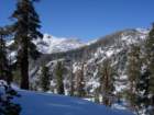 pearlake042_small.jpg