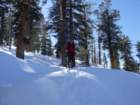 pearlake046_small.jpg