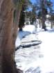 pearlake115_small.jpg