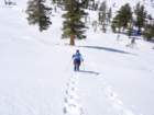 pearlake119_small.jpg