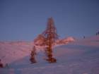 pearlake187_small.jpg