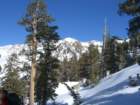 pearlake235_small.jpg