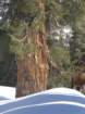 pearlake260_small.jpg