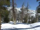 pearlake262_small.jpg