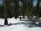 pearlake270_small.jpg
