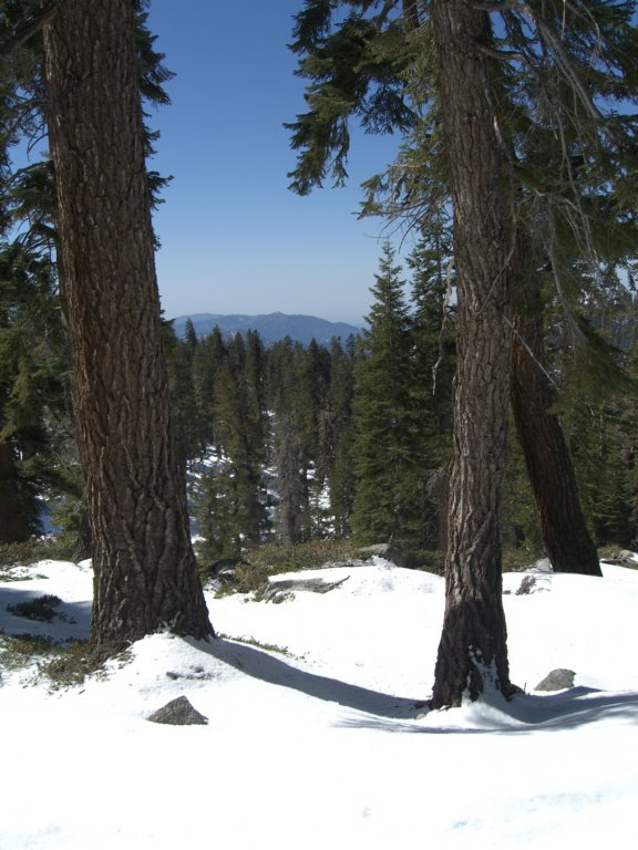 pearlake271.jpg