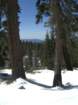 pearlake271_small.jpg