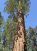 pearlake283_small.jpg