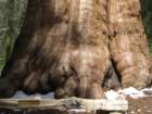 pearlake292_small.jpg