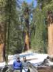 pearlake295_small.jpg