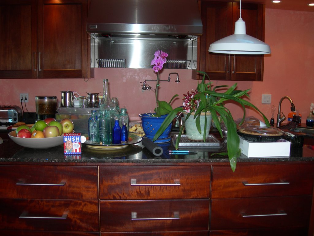 thanksgiving2007006.jpg
