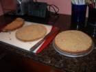 thanksgiving2007008_small.jpg