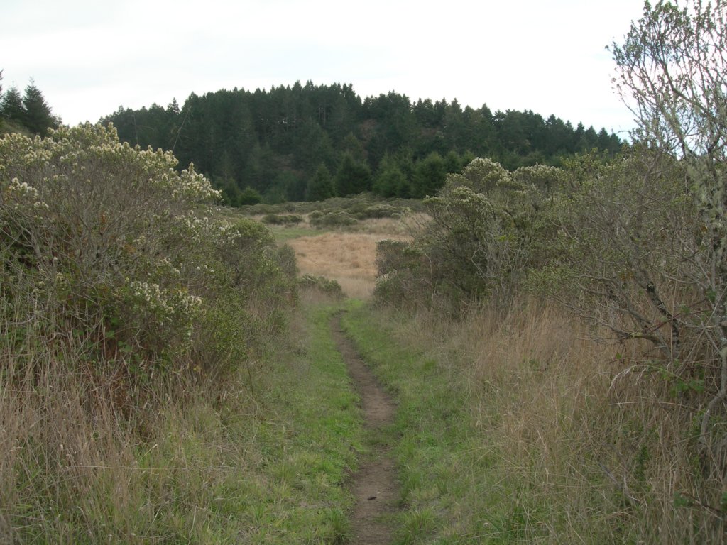 wildcatcamp005.jpg
