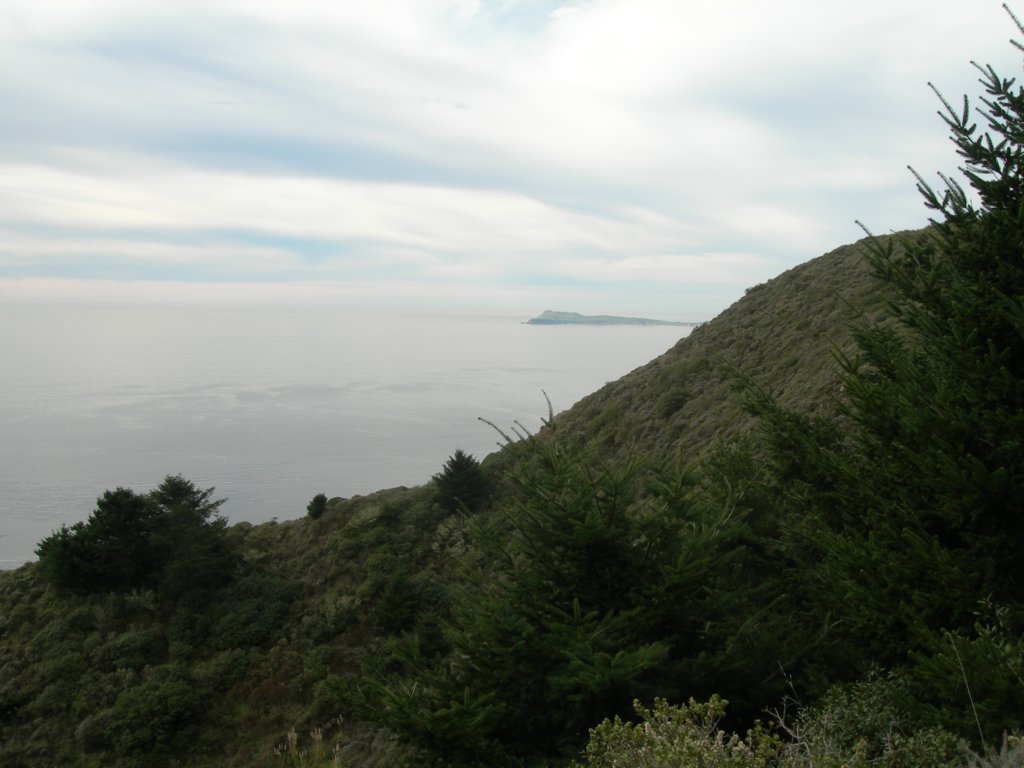 wildcatcamp006.jpg