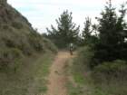 wildcatcamp008_small.jpg