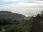 wildcatcamp016_small.jpg
