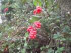 wildcatcamp017_small.jpg
