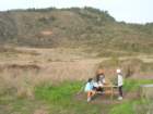 wildcatcamp026_small.jpg