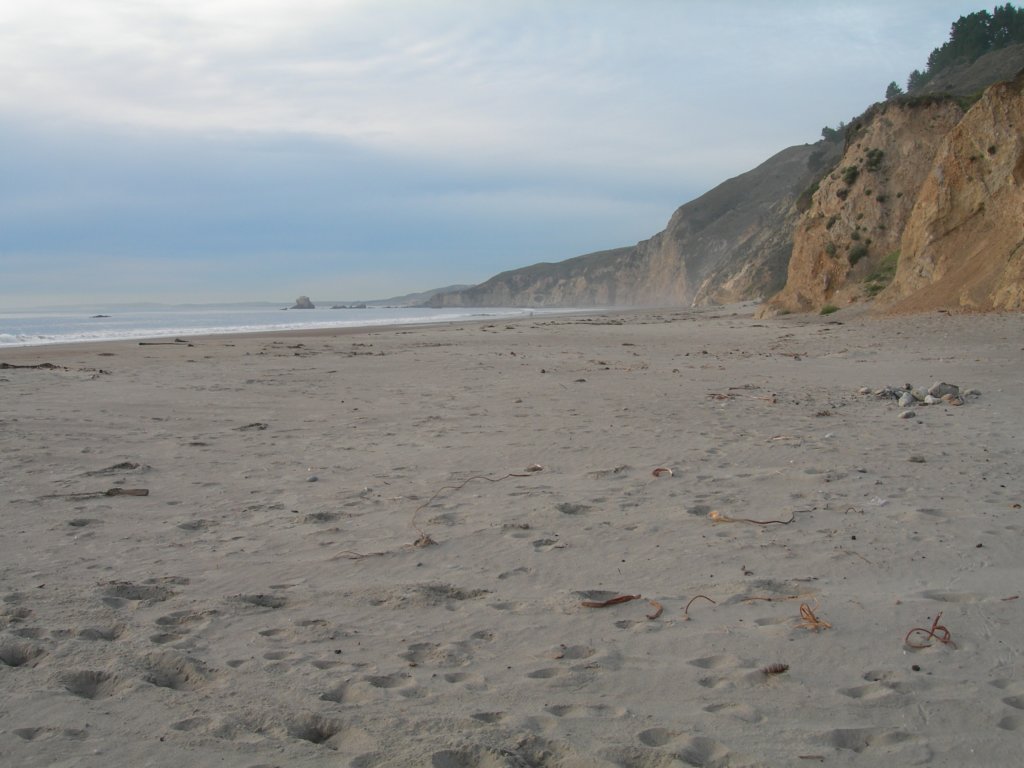 wildcatcamp028.jpg