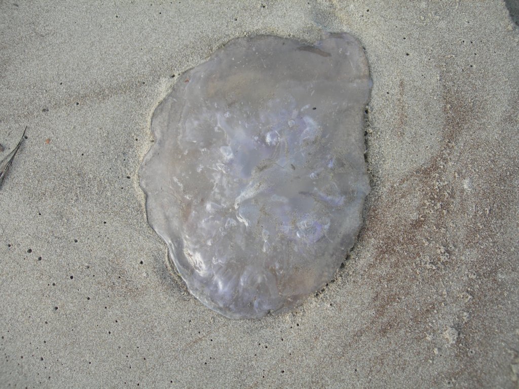 wildcatcamp032.jpg