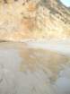 wildcatcamp035_small.jpg