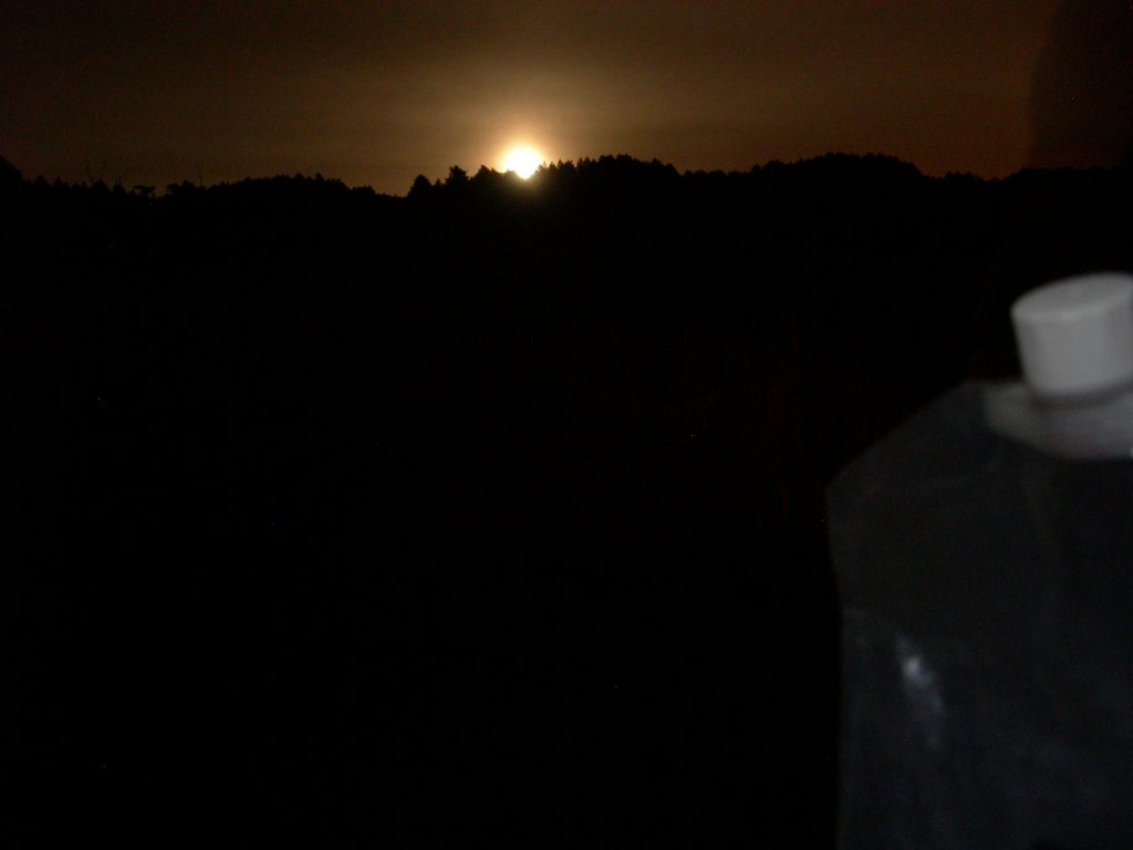 wildcatcamp044.jpg